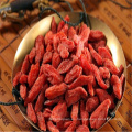 Fruta seca de la baya del goji de Acaid del chino